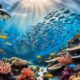 eavesdropping on fish could help us keep better tabs on underwater worlds