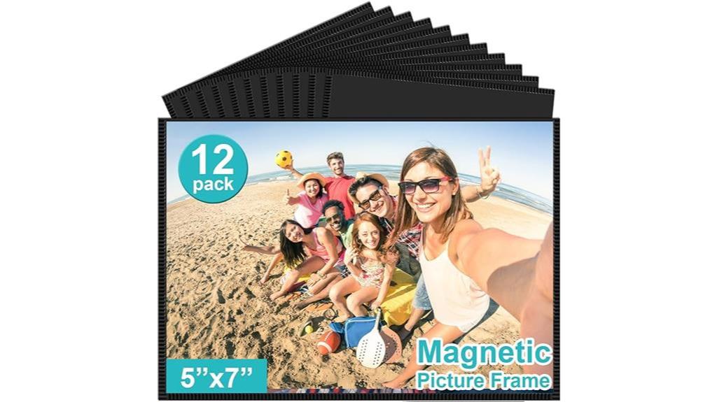 reusable magnetic black frame