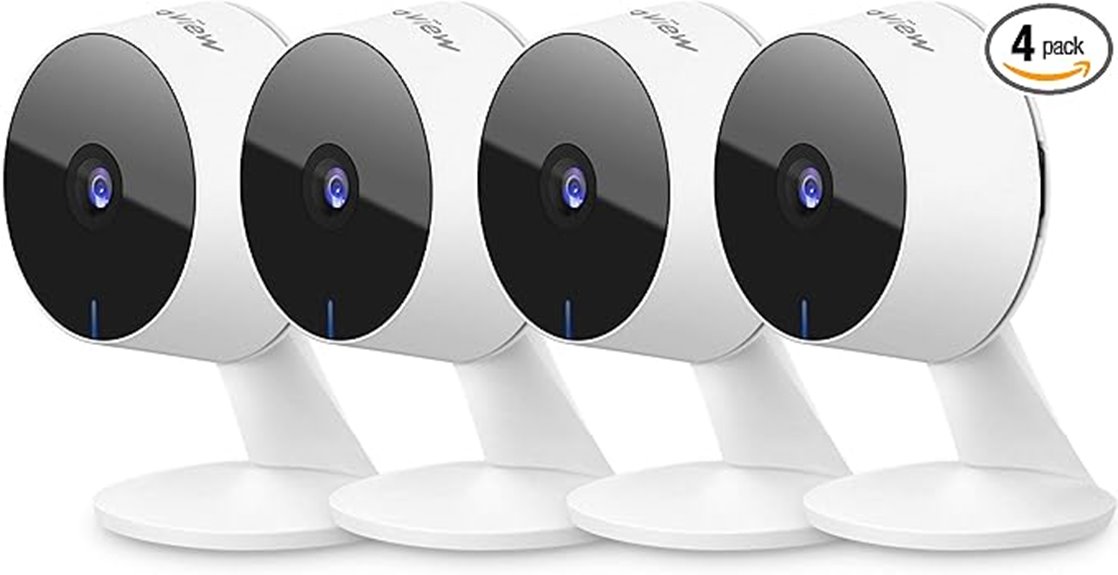 indoor security camera bundle