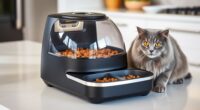 top automatic cat feeders