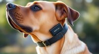 top dog training collar reviews