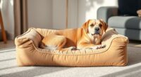 top orthopedic dog beds