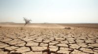 droughts impact crop yields