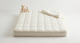 10 Best Crib Mattress Organic in 2026