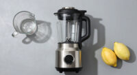 12 Best Blender High Performance in 2026