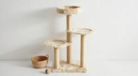 12 Best Cat Tree Modern Large in 2026