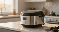 12 Best Rice Cooker Induction in 2026