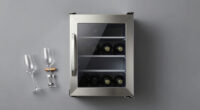 12 Best Wine Refrigerator Dual Zone in 2026