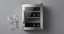 12 Best Wine Refrigerator Dual Zone in 2026