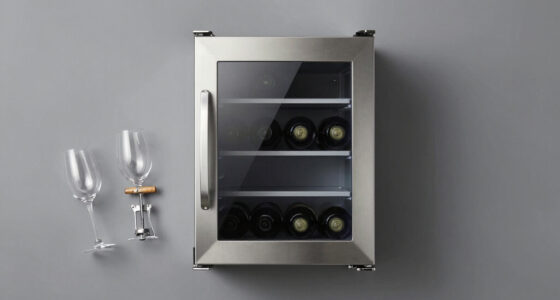 12 Best Wine Refrigerator Dual Zone in 2026