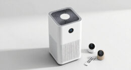 13 Best Air Purifier Large Room in 2026