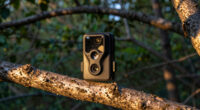 13 Best Trail Camera Cellular in 2026
