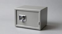 15 Best Fireproof Document Safe in 2026