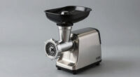 15 Best Meat Grinder Electric in 2026