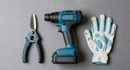 6 Best Hedge Trimmer Cordless in 2026