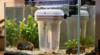 8 Best Aquarium Filter Canister in 2026