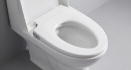 9 Best Bidet Toilet Seat Premium in 2026