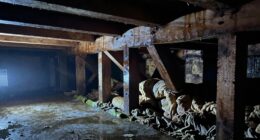 crawl space winter moisture