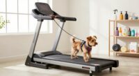dog treadmill pet routines