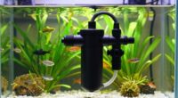 efficient filtration for large tanks