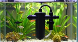 efficient filtration for large tanks