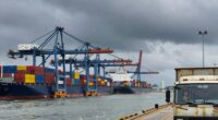 global supply chain disruptions