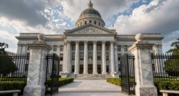importance of state courts
