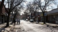 urban trees improve health