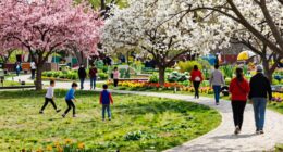year round green space benefits
