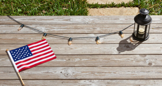 14 Best Patriotic Outdoor String Lights in 2026