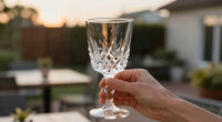 14 Best Waterford Crystal Glassware in 2026
