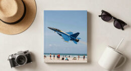 Blue Angels conducting review after jet flies over Florida beachgoers