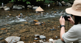 Trishuli River, Nepal (General), Nepal Surges In Global Coverage