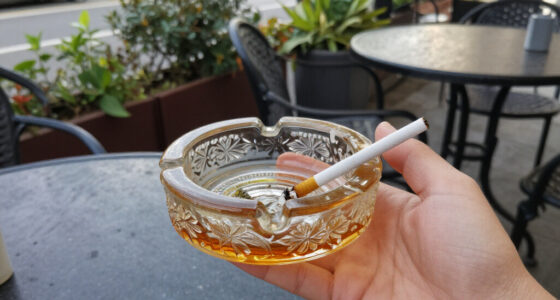 11 Best Vintage Glass Ashtrays in 2026