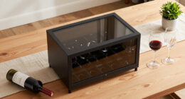 8 Best Wine Storage Cabinets in 2026